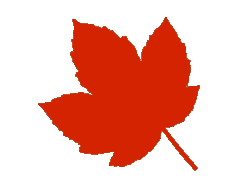 leaf